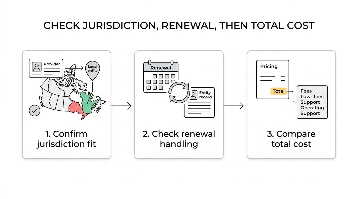 Four-step process for choosing an LEI provider for an SPV: confirm eligibility and jurisdiction, check service scope, compare total pricing, and verify operating speed.