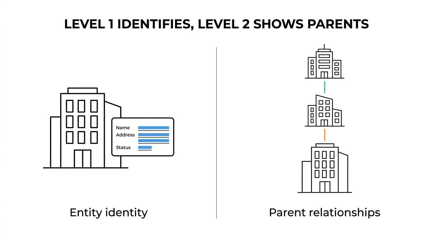 Side-by-side comparison of Level 1 LEI identity data and Level 2 parent relationship data, including what each shows and how each is used.